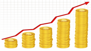 Investment-Money
